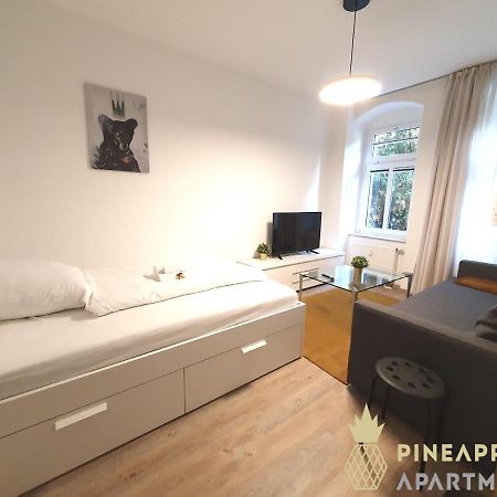 Ruhiges Hinterhof Apartment Im Herzen Der Neustadt Дрезден Экстерьер фото